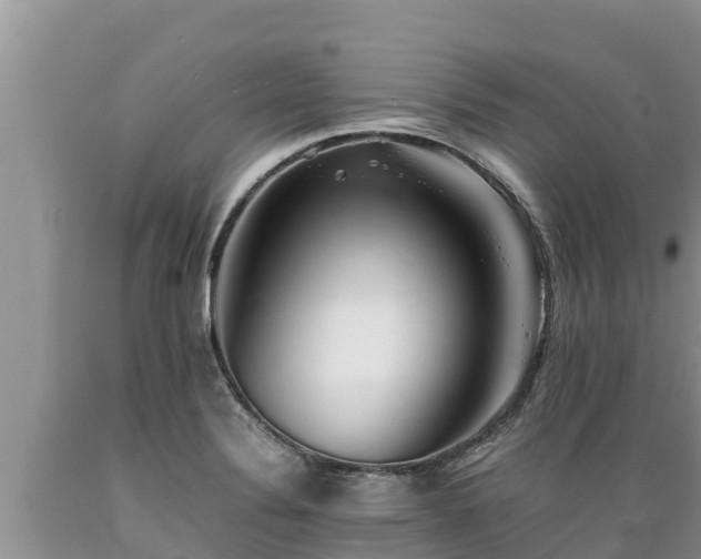 X0000089351324200706221130