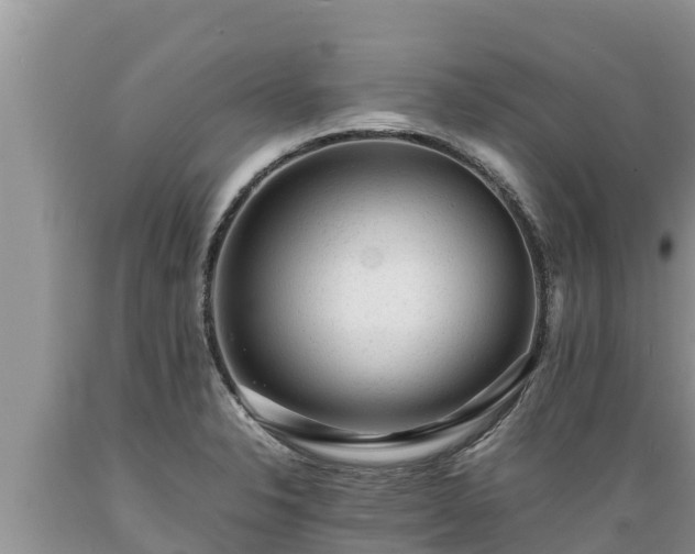 X0000089351326200706221130