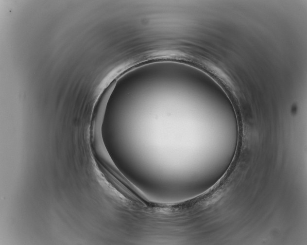 X0000089351330200706221130
