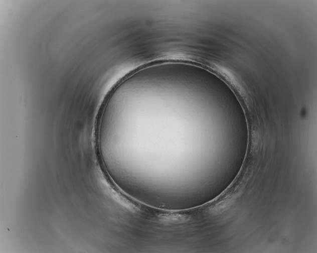 X0000089351331200706221130