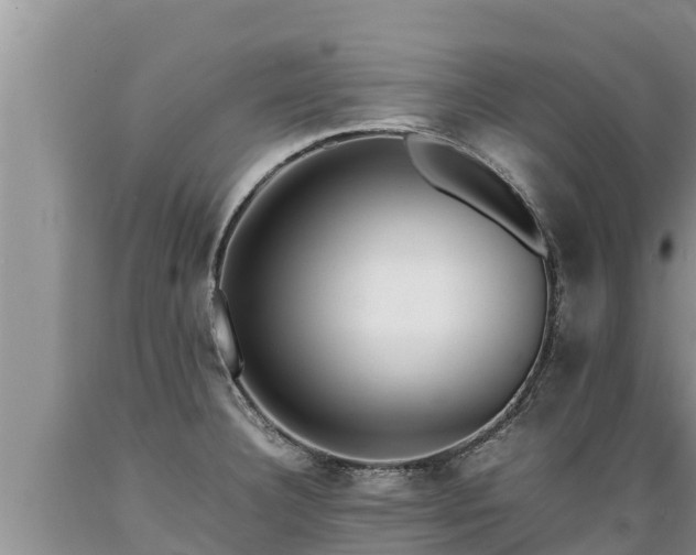 X0000089351332200706221130