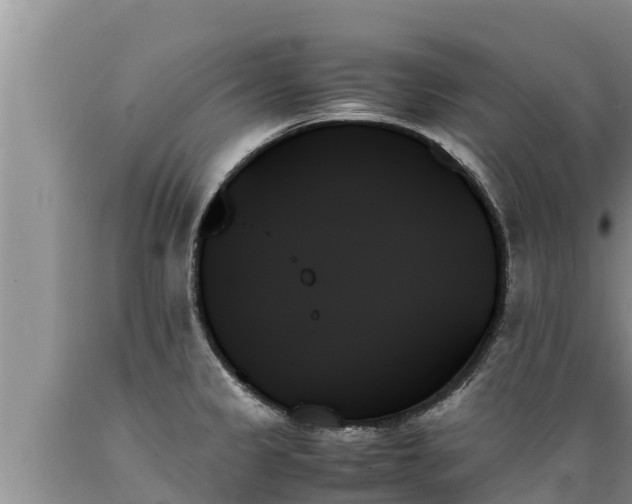 X0000089351333200706221130
