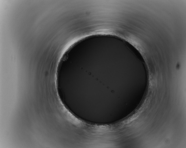 X0000089351334200706221130