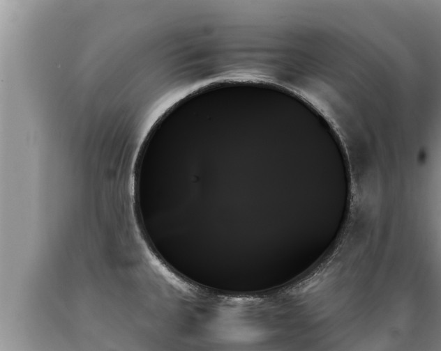 X0000089351335200706221130
