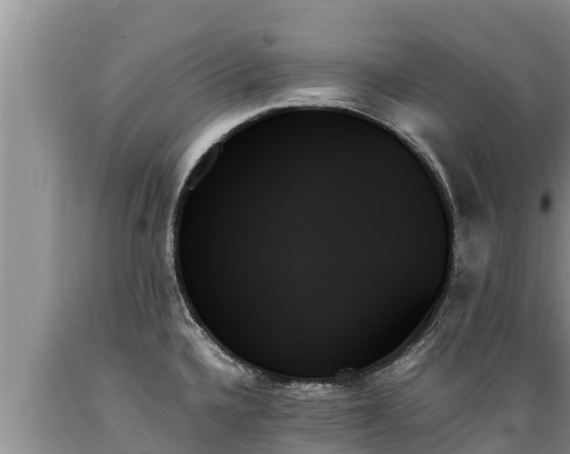 X0000089351336200706221130