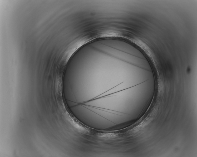 X0000089351337200706221130