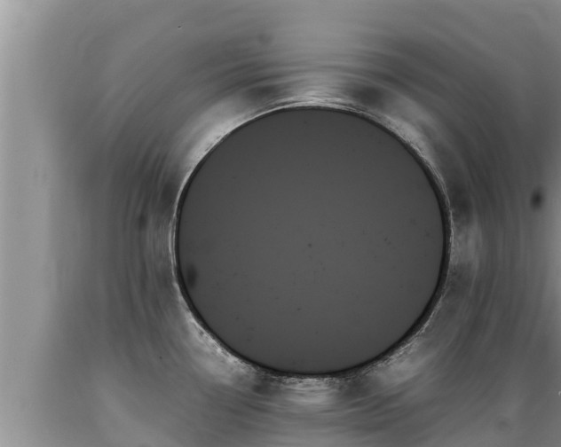 X0000089351338200706221130