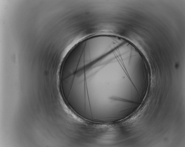 X0000089351341200706221130