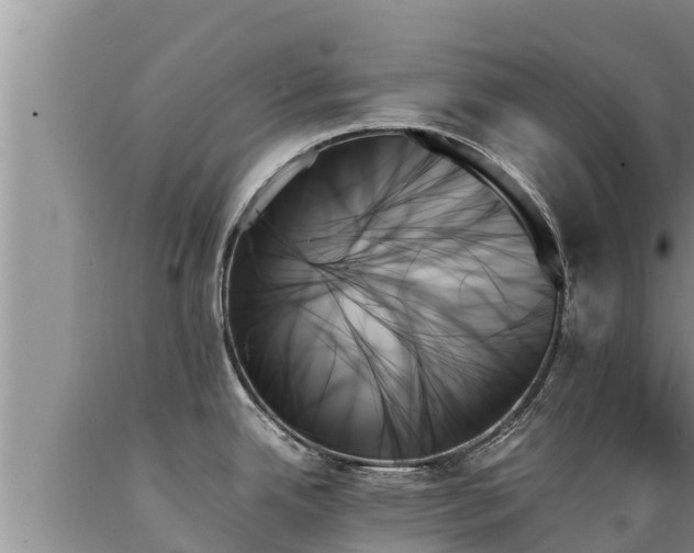 X0000089351342200706221130