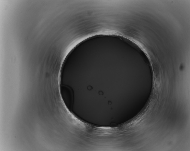 X0000089351343200706221130