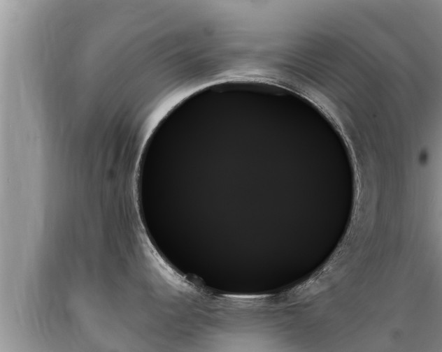 X0000089351344200706221130