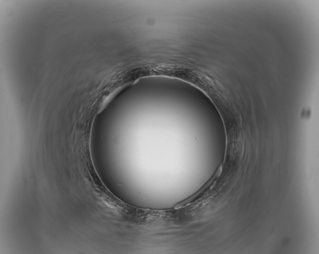 X0000089351345200706221130