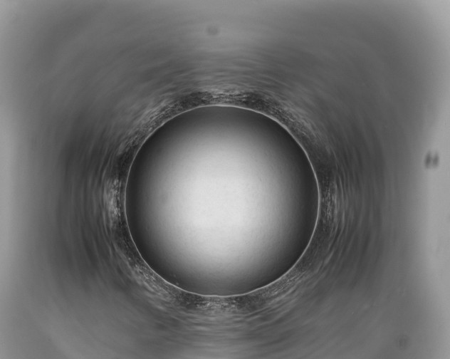 X0000089351346200706221130