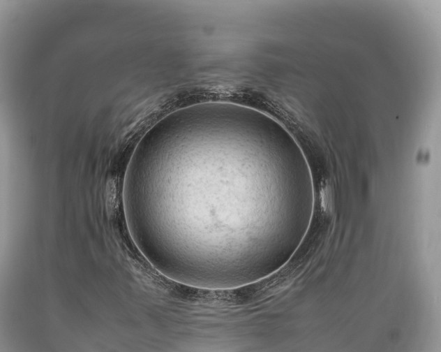 X0000089351347200706221130