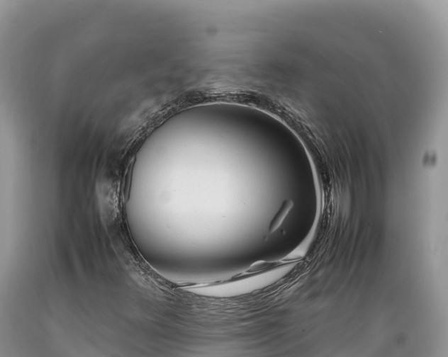 X0000089351348200706221130