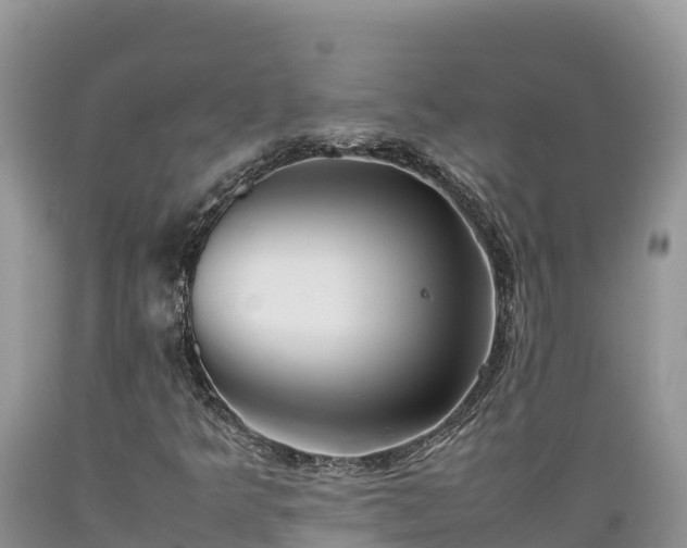 X0000089351349200706221130