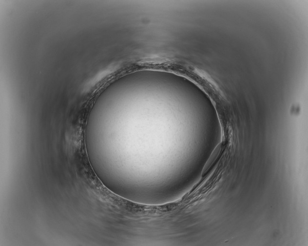 X0000089351350200706221130
