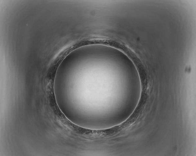 X0000089351351200706221130
