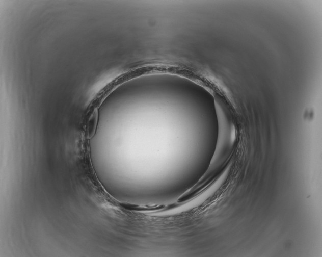 X0000089351352200706221130
