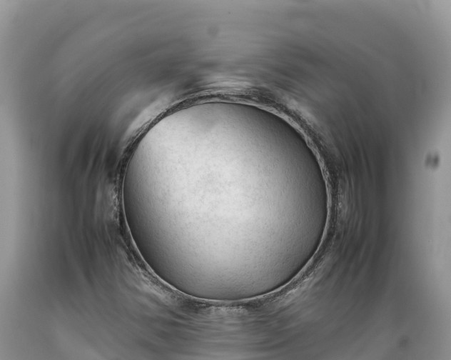 X0000089351354200706221129
