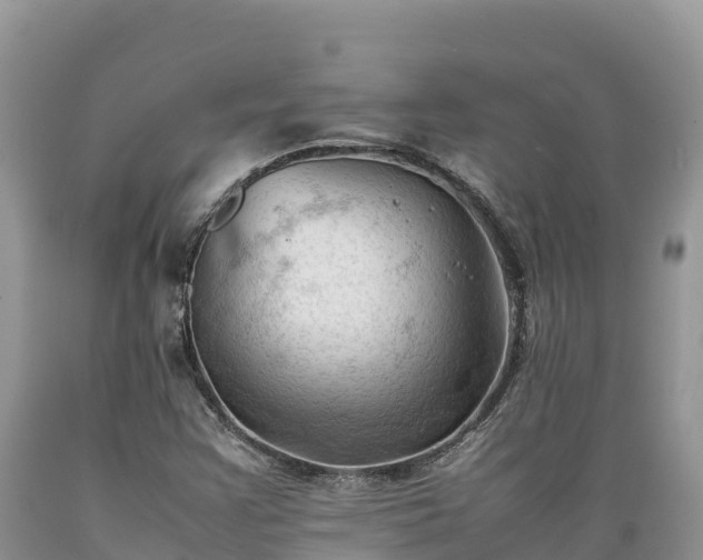 X0000089351355200706221129