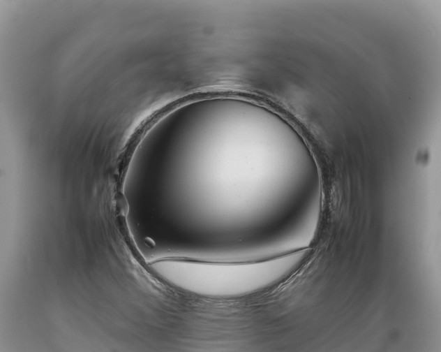 X0000089351356200706221129