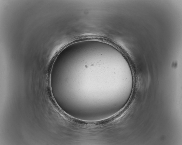 X0000089351357200706221129