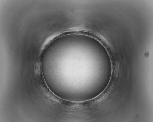 X0000089351358200706221129