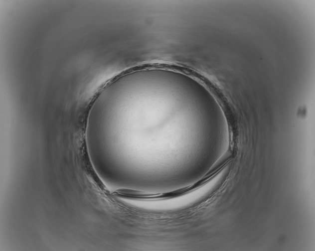 X0000089351359200706221129
