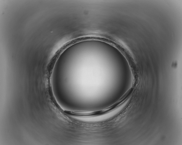X0000089351360200706221129