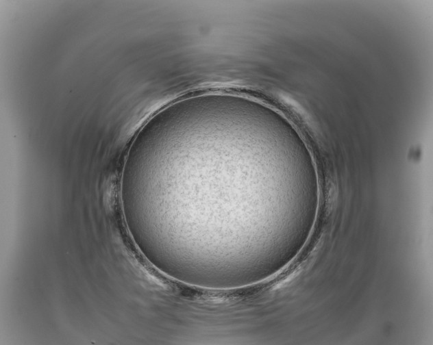 X0000089351361200706221129
