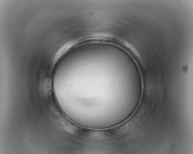 X0000089351362200706221129
