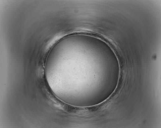 X0000089351363200706221129