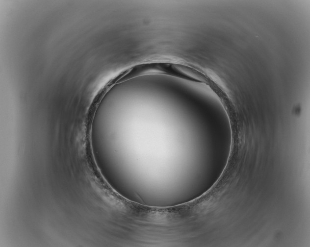 X0000089351364200706221129