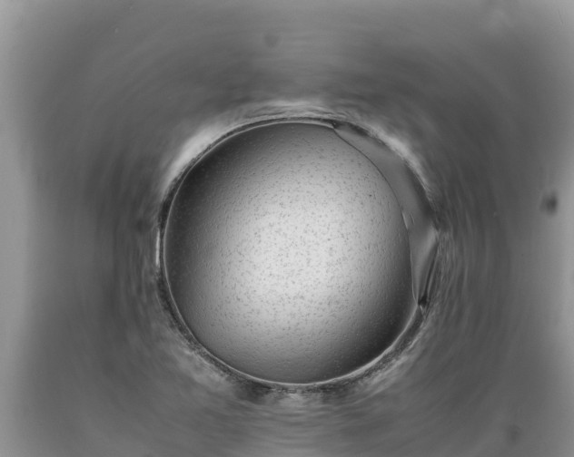 X0000089351365200706221129