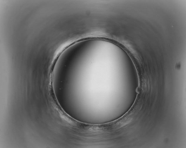 X0000089351366200706221129