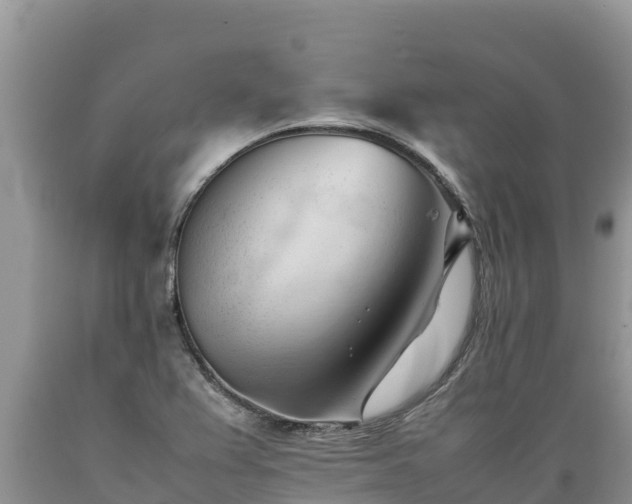 X0000089351367200706221129