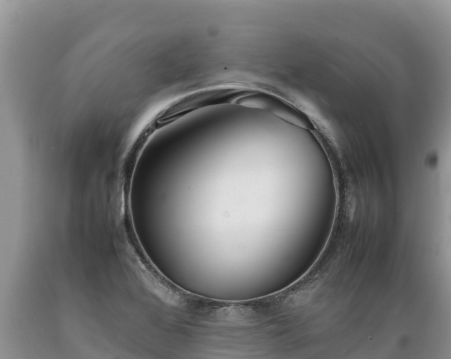 X0000089351368200706221129