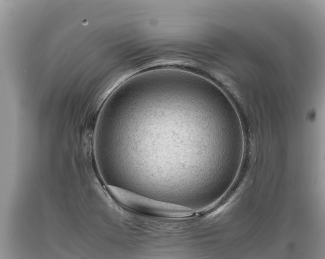 X0000089351369200706221129