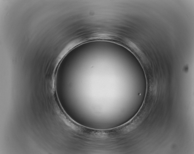 X0000089351370200706221129