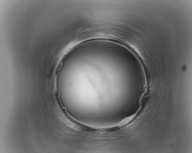 X0000089351371200706221129