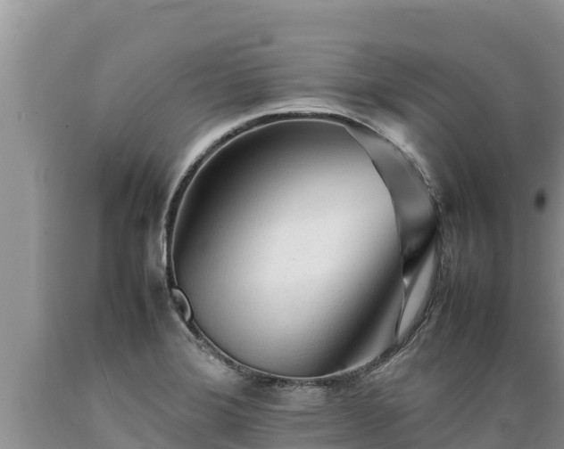X0000089351372200706221129