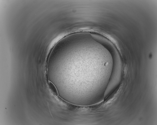 X0000089351373200706221129