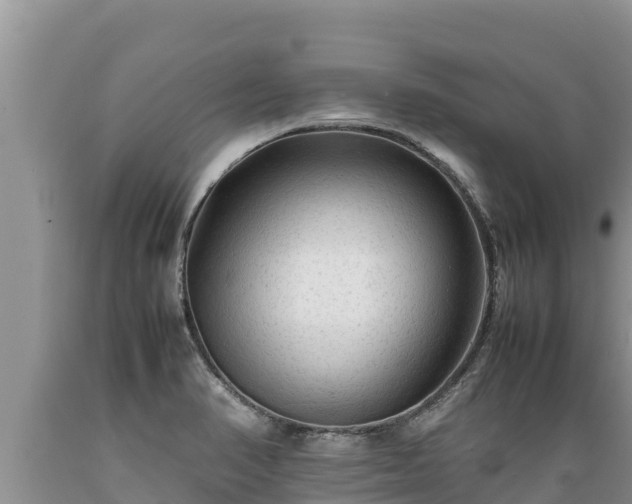 X0000089351374200706221129
