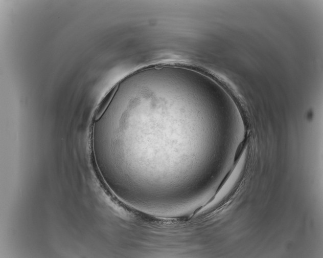 X0000089351375200706221129
