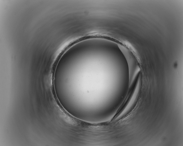 X0000089351376200706221129