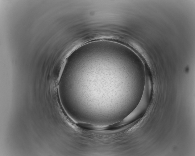 X0000089351377200706221129