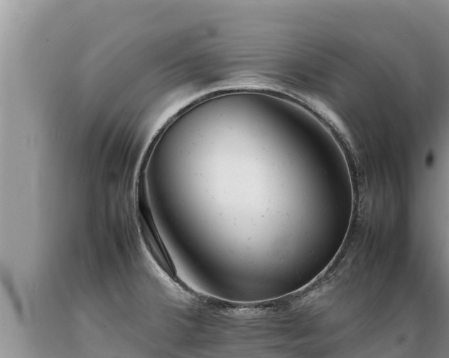 X0000089351380200706221129