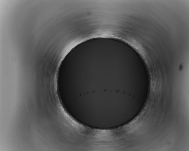 X0000089351382200706221129