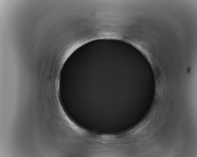 X0000089351383200706221129